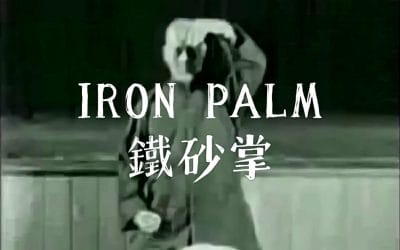Master the Iron Palm Training Secrets: A Step by Step Guide